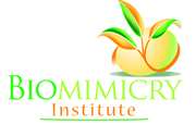 biomimicry institute logo